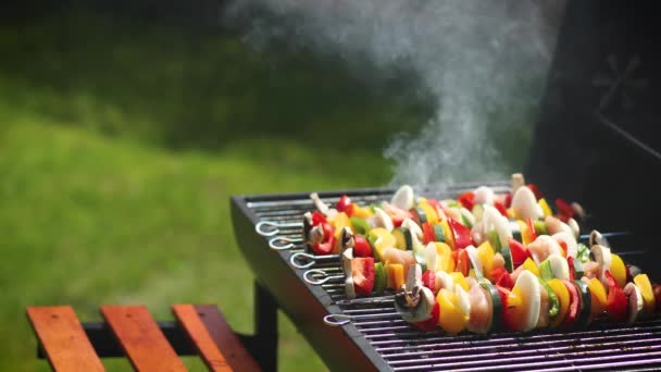 Renkli ve lezzetli ızgara Shashliks açık havada yaz barbeküsünde — Stok video