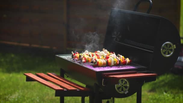 Shashlik alla griglia colorati e gustosi sul barbecue estivo all'aperto — Video Stock