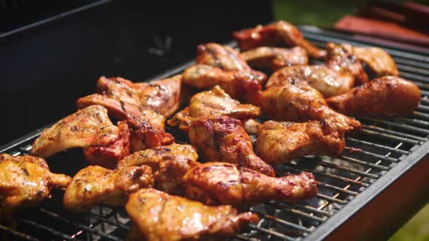 Deliciosos trozos de pollo friendo en la parrilla de barbacoa — Vídeo de stock