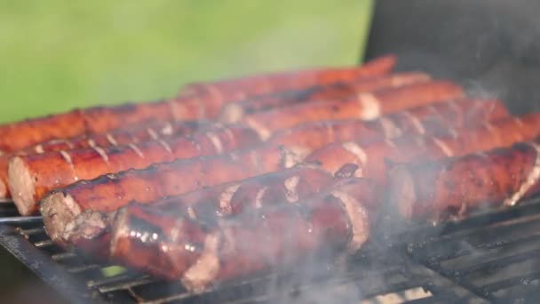Grillen smakelijke worstjes op barbecue — Stockvideo