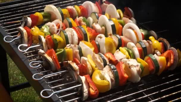 Kleurrijke en smakelijke gegrilde shashliks op outdoor zomer barbecue — Stockvideo