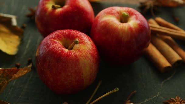 Herfst rode appels en specerijen — Stockvideo