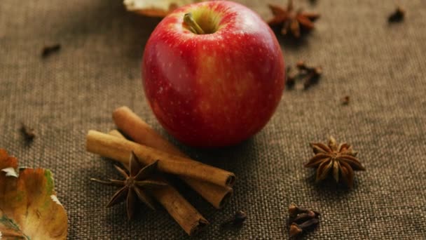 Manzana madura con especias aromáticas — Vídeo de stock