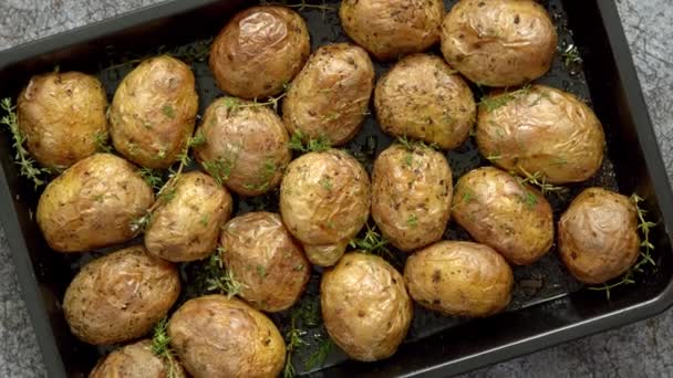 Oven gebakken hele aardappelen met kruiden en kruiden in metalen dienblad. Geroosterde aardappelen in jasjes. — Stockvideo