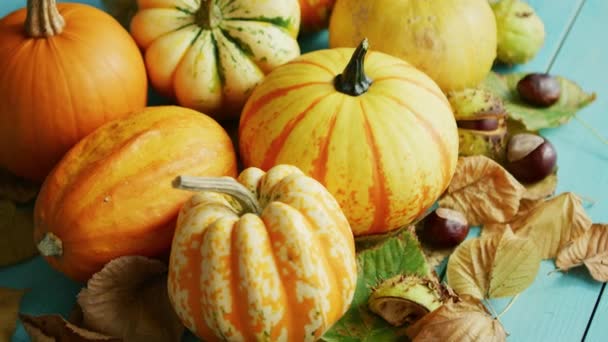 Citrouilles décorées de châtaignes et de feuilles — Video