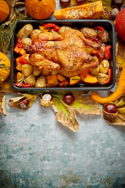 Poulet entier rôti ou dinde avec citrouilles, poivre et pommes de terre. Avec mini citrouilles colorées — Photo