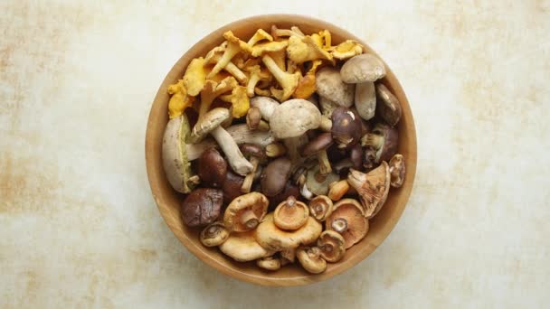 Olika färska vilda svampar i trä skål på gul beige bakgrund, ovanifrån — Stockvideo