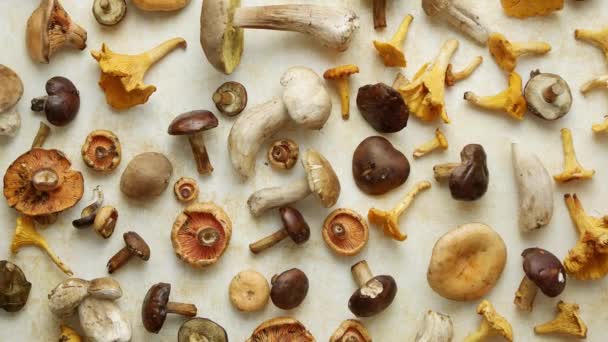 Осенняя осенняя композиция. Различные виды лесных сырых грибов на деревенском столе — стоковое видео