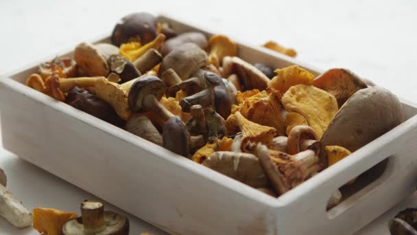 Variety of fresh and raw forest mushrooms packed in wooden box. Top view — Stock Video