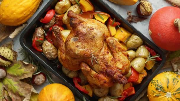 Rostad hel kyckling eller kalkon med pumpor, peppar och potatis. Med färgglada minipumpor — Stockvideo