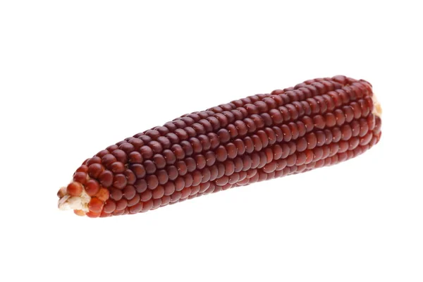 Фіолетова Кукурудза Ізольована Білому Фоні — стокове фото