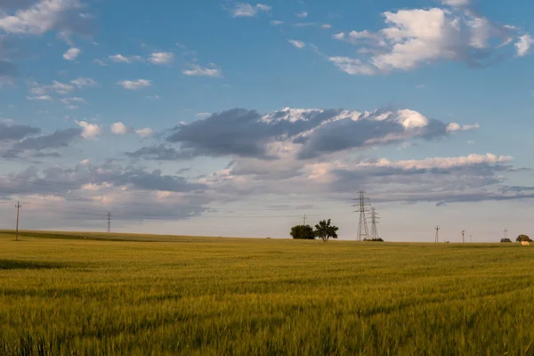 Ländliche Landschaft Mit Feldern Und Stromleitungen — Stockfoto