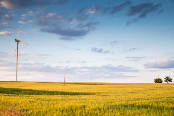 Venkovská Krajina Poli Větrná Turbína Během Slunného Dne Modrou Oblohou — Stock fotografie