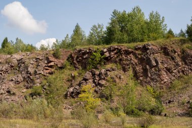 Hercynian orogeny jeolojik yapılar içinde eski kapalı taş ocağı holly üzerinde büyüyen ağaçlar Polonya Dağları aşmak