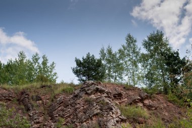 eski kapalı taş ocağı holly içinde jeolojik yapılar üstündeki büyüyen ağaçlar Polonya Dağları aşmak