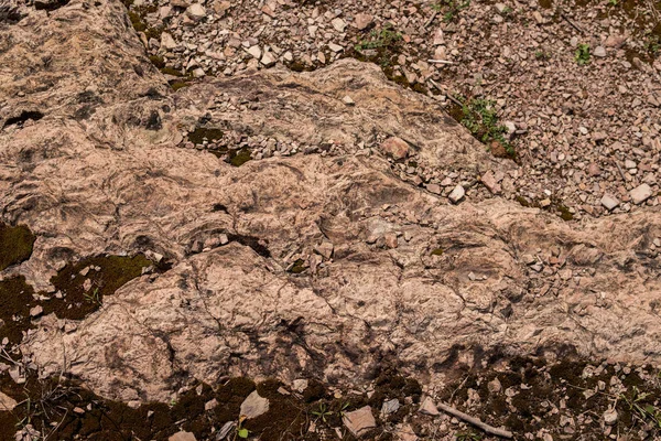 Abdruck Von Flutwellen Dolomitgesteinen Innerhalb Des Zachelmie Steinbruchs Stechpalmenkreuzbergen Polen — Stockfoto