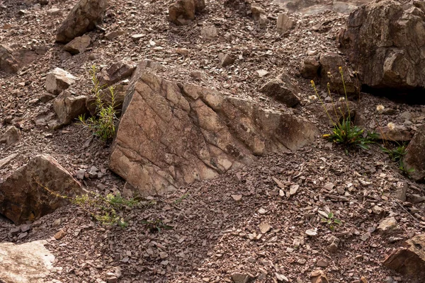 Detalle Erosión Rocas Arenisca Cantera Antigua Acebo Cruzan Montañas Polonia — Foto de Stock