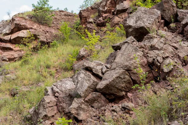 Detalle Rocas Dentro Cantera Zachelmie Acebo Cruzan Montañas Polonia —  Fotos de Stock