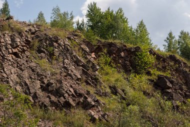 hercynian orogeny eski kapalı taş ocağı holly içinde jeolojik yapılar üzerinde büyüyen ağaçlar Polonya Dağları aşmak