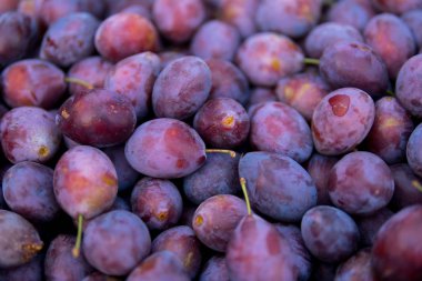çok sayıda damson Erik üzerinde üstten görünüm