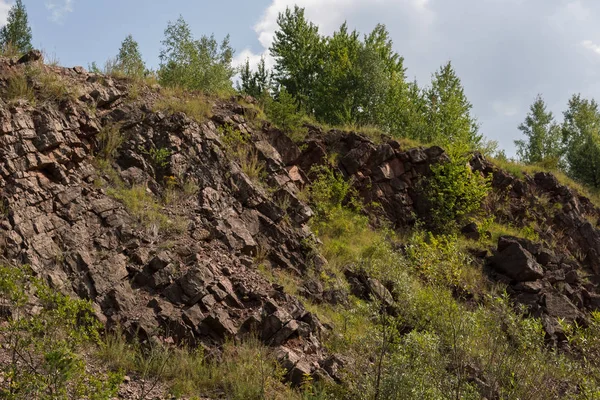 hercynian orogeny eski kapalı taş ocağı holly içinde jeolojik yapılar üzerinde büyüyen ağaçlar Polonya Dağları aşmak