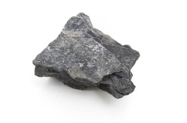 fosil Carboniferous fern, beyaz arka plan üzerinde izole yapraklar