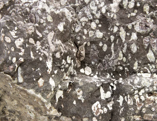 Απομονωμένη Πάνω Λευκή Λεπτομέρεια Από Ηφαιστειακά Πετρώματα Melaphyre — Φωτογραφία Αρχείου