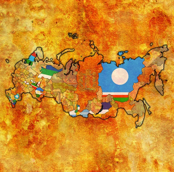 Emblematy Republik Mapie Podział Administracyjny Granic Rosji — Zdjęcie stockowe