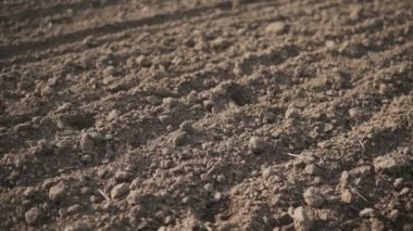 Kamera slayt bahar başında koyu toprak ile boş sürülmüş alanın üzerinde