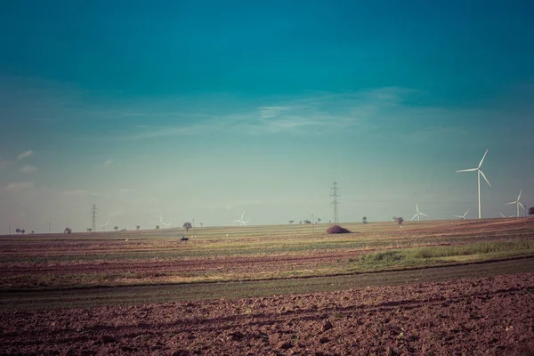 Ländliche Landschaft an sonnigen Tagen — Stockfoto