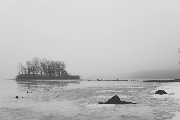 Island on ice covered lake — Stock Photo, Image