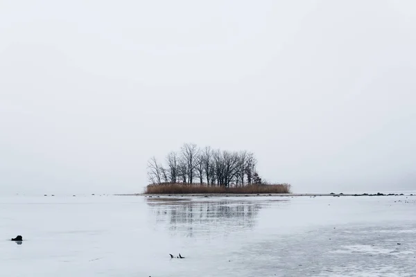 Ilha no lago coberto de gelo — Fotografia de Stock