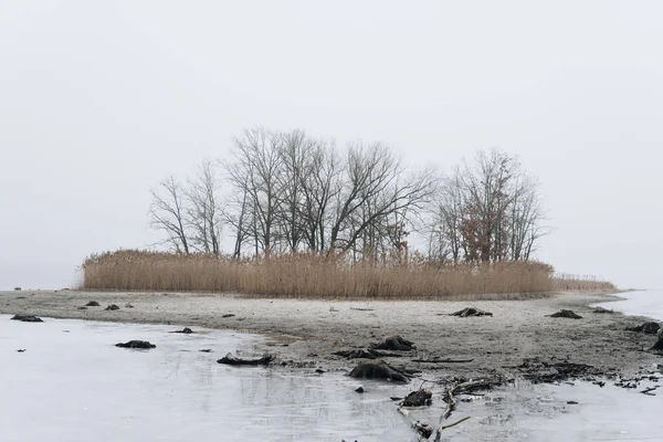 Берег озера взимку — стокове фото