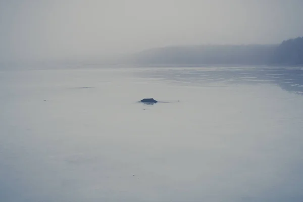 Rötter utskjutande från istäcket på en sjö — Stockfoto