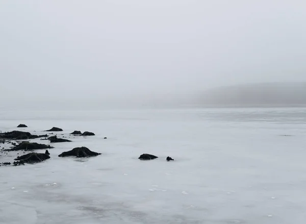 Raízes salientes da cobertura de gelo em um lago — Fotografia de Stock