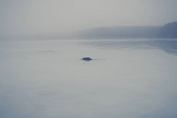 Raíces que sobresalen de la cubierta de hielo en un lago —  Fotos de Stock