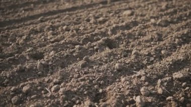 Kamera slayt bahar başında koyu toprak ile boş sürülmüş alanın üzerinde