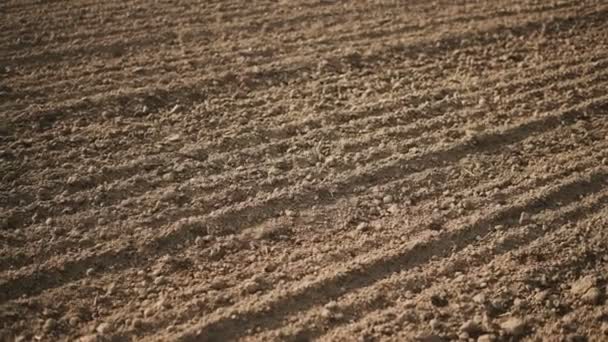 Camera Slide Empty Plowed Field Dark Soil Beginning Spring — Stock Video
