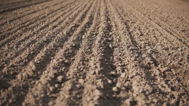 在春天开始时 相机在空旷的耕田上滑动 有黑暗的土壤 — 图库视频影像