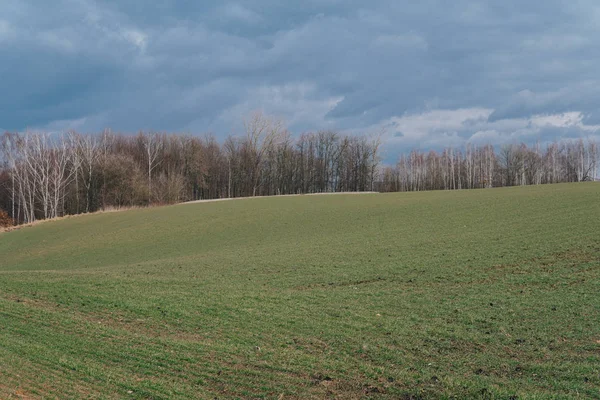 Pagórkowaty krajobraz z pola — Zdjęcie stockowe