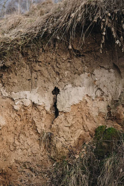 Profile of redzina soil — Stock Photo, Image