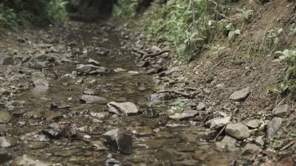 Sungai Kecil Dengan Air Bersih Dalam Lembah Sungai — Stok Video