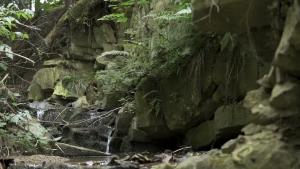 Nahaufnahme Eines Winzigen Wasserfalls Mit Fließendem Wasser Zeitlupe — Stockvideo