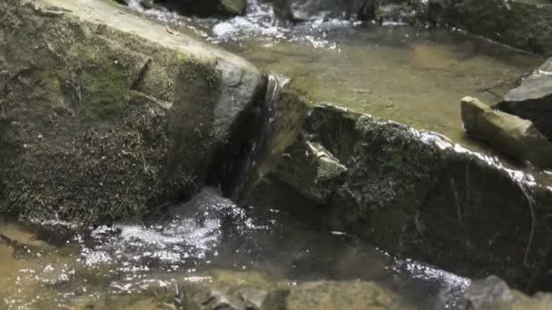 スローモーション水が流れる小さな滝のクローズ アップ — ストック動画