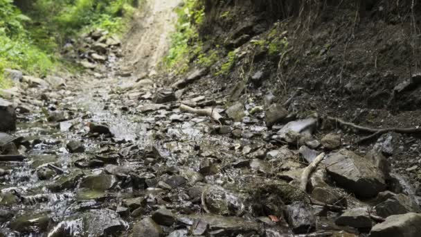 Pequeno Fluxo Com Água Limpa Dentro Vale Fluvial — Vídeo de Stock