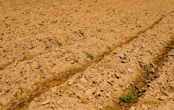 Empty plowed field — Stock Photo, Image