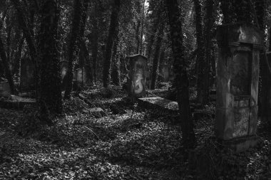 eski Yahudi Mezarlığı