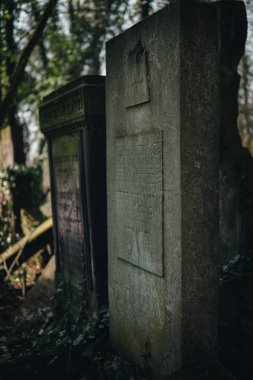 eski yahudi matzevah detay