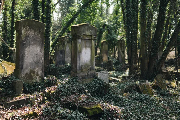 Antiguo cementerio judío — Foto de Stock