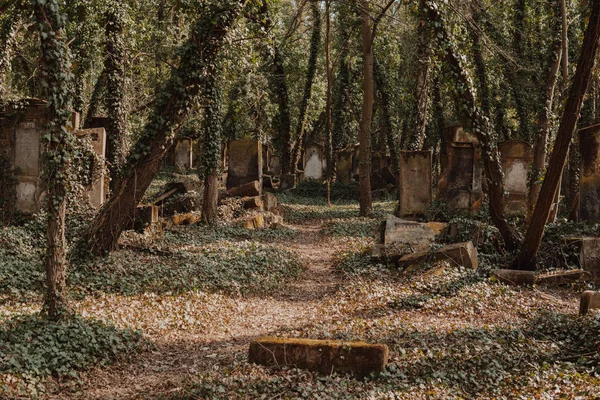 老犹太公墓 — 图库照片